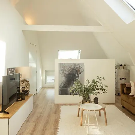 Huize Copes Den Haag, 2 Bed, 2 Bath Apartamento